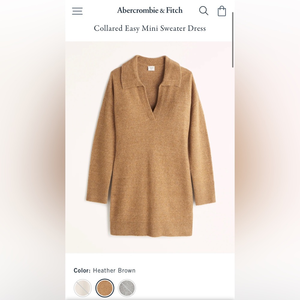Abercrombie Collared Easy Mini Sweater Dress